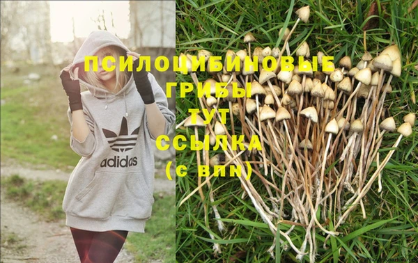 марки nbome Покачи